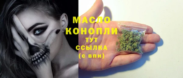 дмт Няндома