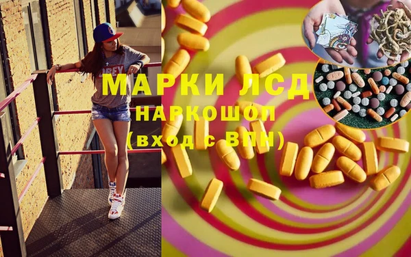 индика Нязепетровск