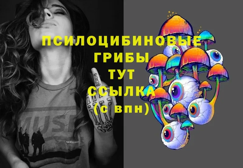 Псилоцибиновые грибы Magic Shrooms  Исилькуль 