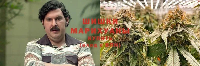 где можно купить   Исилькуль  Каннабис Bruce Banner 